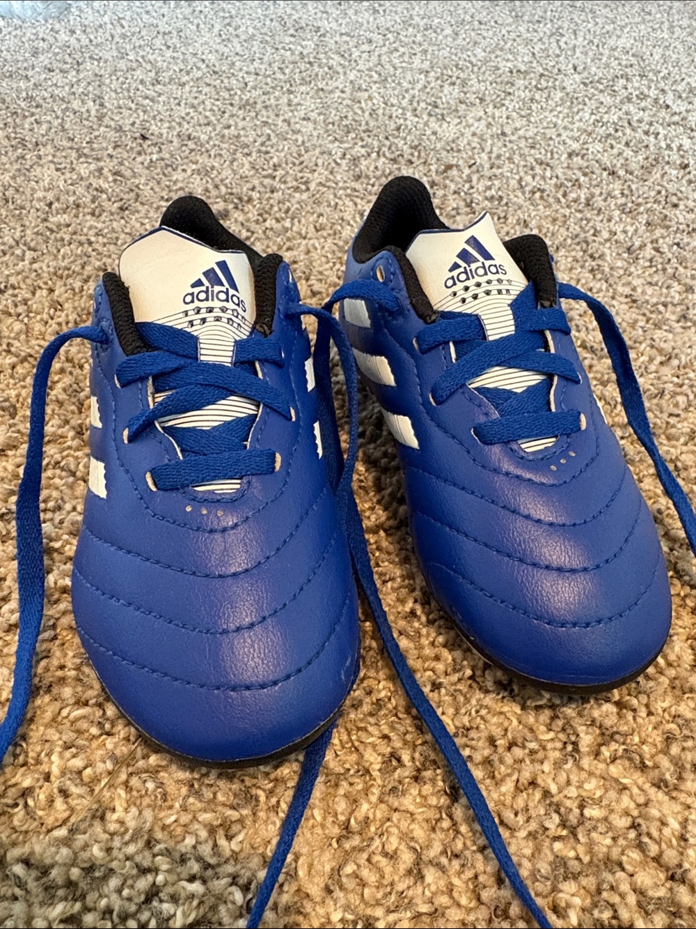 Adidas Kids Royal Blue and White Soccer Shoes